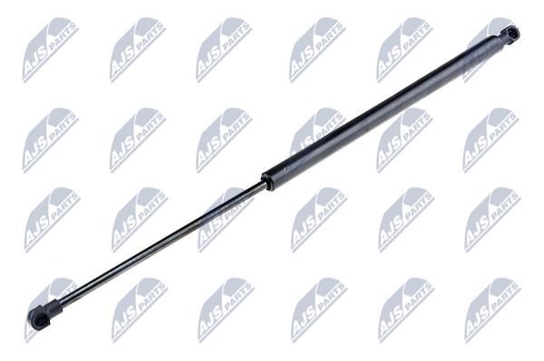 NTY AE-NS-007 Gas Spring, boot-/cargo area AENS007: Buy near me in Poland at 2407.PL - Good price!