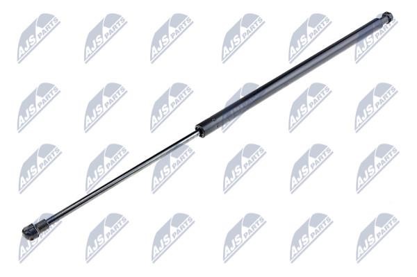NTY AE-NS-009 Gas Spring, boot-/cargo area AENS009: Buy near me in Poland at 2407.PL - Good price!