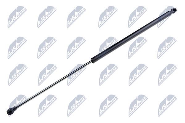 NTY AE-NS-010 Gas Spring, boot-/cargo area AENS010: Buy near me in Poland at 2407.PL - Good price!