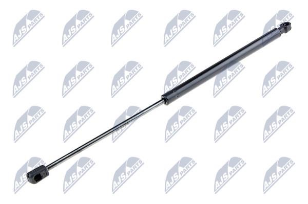 NTY AE-NS-011 Gas Spring, boot-/cargo area AENS011: Buy near me in Poland at 2407.PL - Good price!