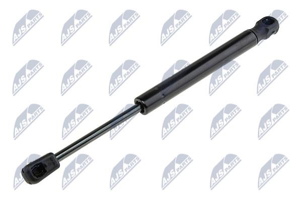 NTY AE-NS-013 Gas Spring, boot-/cargo area AENS013: Buy near me in Poland at 2407.PL - Good price!