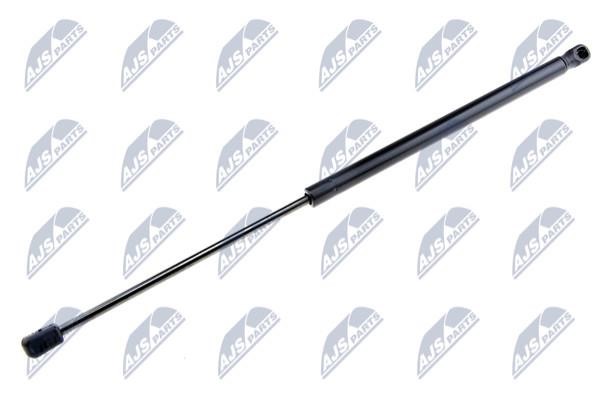 NTY AE-NS-014 Gas Spring, boot-/cargo area AENS014: Buy near me in Poland at 2407.PL - Good price!