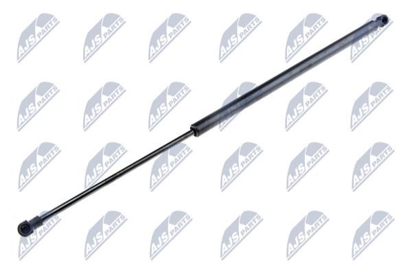 NTY AE-PE-005 Gas Spring, boot-/cargo area AEPE005: Buy near me in Poland at 2407.PL - Good price!