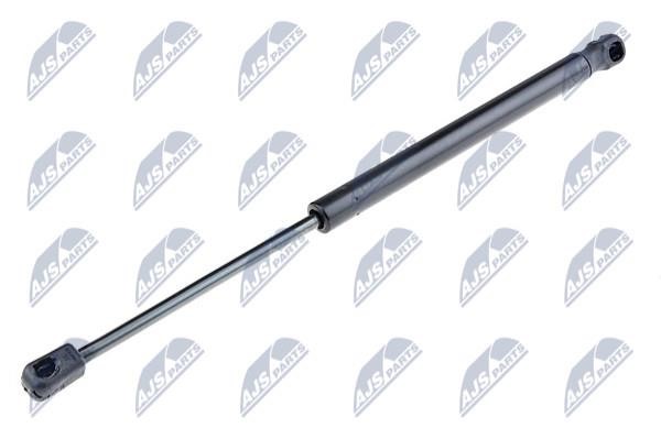 NTY AE-PE-014 Gas Spring, boot-/cargo area AEPE014: Buy near me in Poland at 2407.PL - Good price!