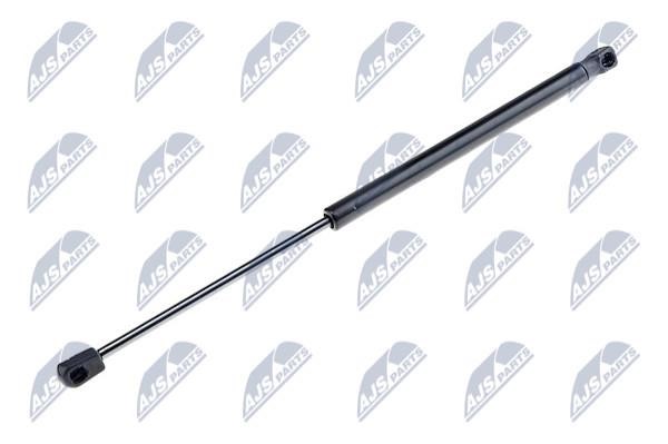 NTY AE-PE-015 Gas Spring, boot-/cargo area AEPE015: Buy near me in Poland at 2407.PL - Good price!