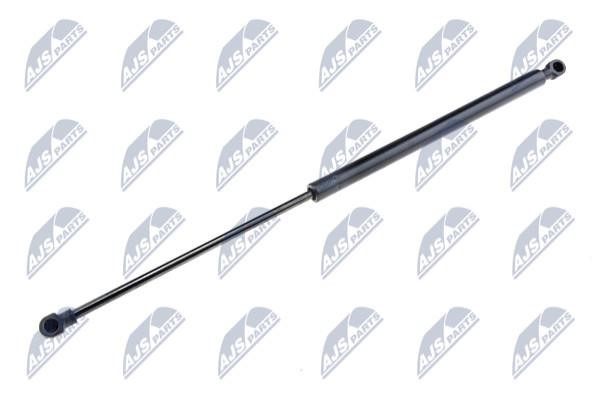NTY AE-PE-016 Spring gas rear window AEPE016: Buy near me in Poland at 2407.PL - Good price!