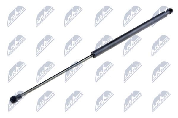 NTY AE-PE-018 Gas Spring, boot-/cargo area AEPE018: Buy near me in Poland at 2407.PL - Good price!