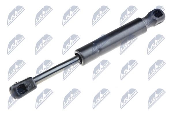 NTY AE-PE-024 Gas hood spring AEPE024: Buy near me in Poland at 2407.PL - Good price!