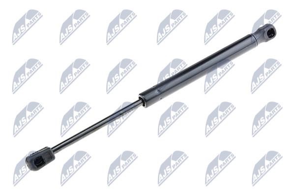 NTY AE-PE-029 Gas Spring, boot-/cargo area AEPE029: Buy near me in Poland at 2407.PL - Good price!