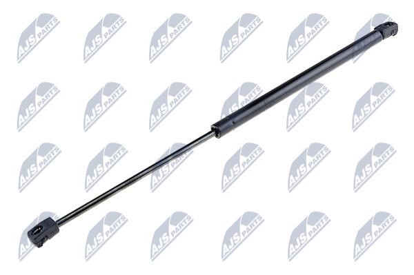 NTY AE-PL-001 Gas Spring, boot-/cargo area AEPL001: Buy near me in Poland at 2407.PL - Good price!