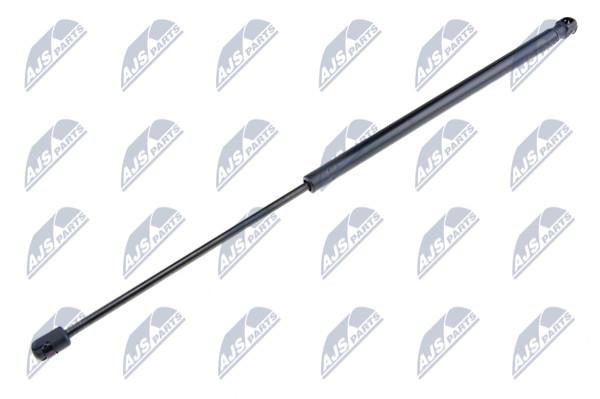 NTY AE-PL-002 Gas Spring, boot-/cargo area AEPL002: Buy near me in Poland at 2407.PL - Good price!