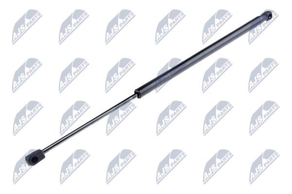NTY AE-PL-004 Gas Spring, boot-/cargo area AEPL004: Buy near me in Poland at 2407.PL - Good price!