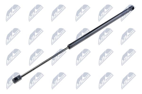 NTY AE-PL-010 Gas Spring, boot-/cargo area AEPL010: Buy near me in Poland at 2407.PL - Good price!