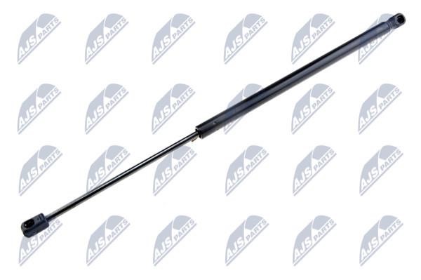 NTY AE-PL-012 Gas Spring, boot-/cargo area AEPL012: Buy near me in Poland at 2407.PL - Good price!