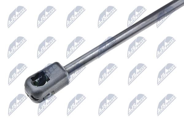 Gas Spring, boot-&#x2F;cargo area NTY AE-PL-015