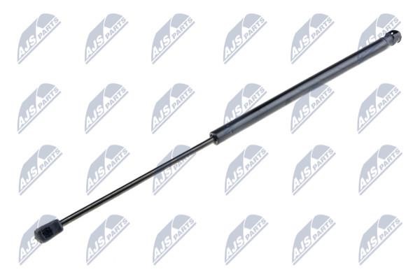 NTY AE-PL-016 Gas Spring, boot-/cargo area AEPL016: Buy near me in Poland at 2407.PL - Good price!