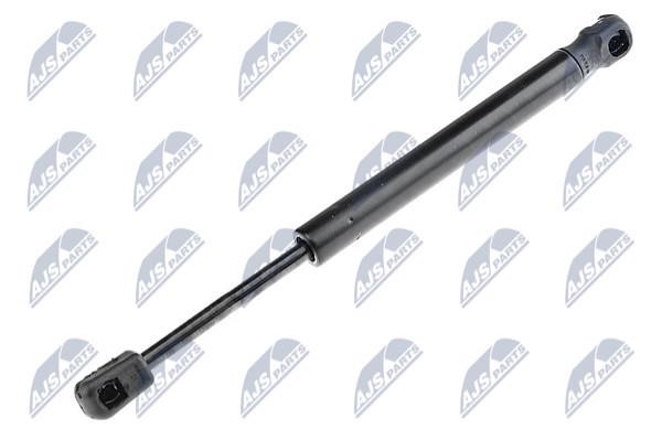 NTY AE-PL-019 Gas Spring, boot-/cargo area AEPL019: Buy near me in Poland at 2407.PL - Good price!