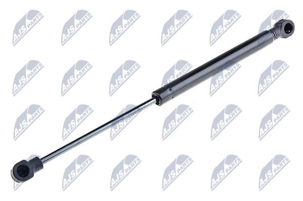 NTY AE-PL-023 Gas Spring, boot-/cargo area AEPL023: Buy near me in Poland at 2407.PL - Good price!
