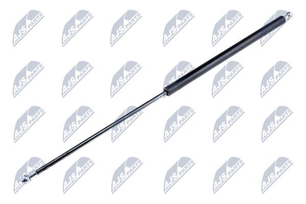NTY AE-PL-029 Gas Spring, boot-/cargo area AEPL029: Buy near me in Poland at 2407.PL - Good price!