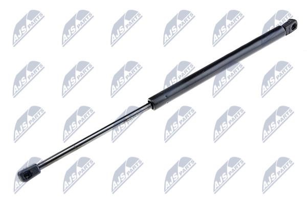 NTY AE-PL-033 Gas Spring, boot-/cargo area AEPL033: Buy near me in Poland at 2407.PL - Good price!