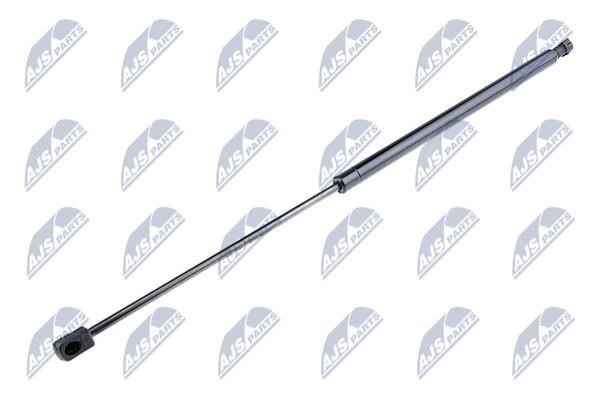 NTY AE-PL-038 Gas Spring, boot-/cargo area AEPL038: Buy near me in Poland at 2407.PL - Good price!