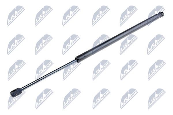 NTY AE-PL-042 Gas Spring, boot-/cargo area AEPL042: Buy near me at 2407.PL in Poland at an Affordable price!