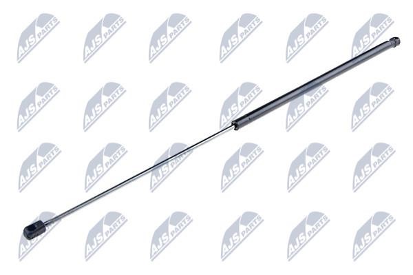NTY AE-PL-044 Gas Spring, boot-/cargo area AEPL044: Buy near me in Poland at 2407.PL - Good price!