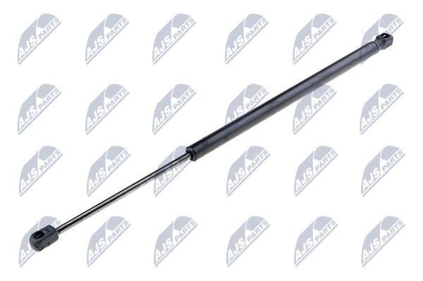 NTY AE-RE-009 Gas Spring, boot-/cargo area AERE009: Buy near me in Poland at 2407.PL - Good price!