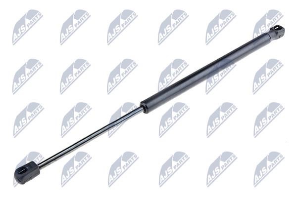 NTY AE-RE-010 Gas Spring, boot-/cargo area AERE010: Buy near me in Poland at 2407.PL - Good price!