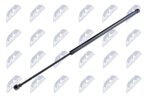 NTY AE-RE-013 Gas Spring, boot-/cargo area AERE013: Buy near me in Poland at 2407.PL - Good price!