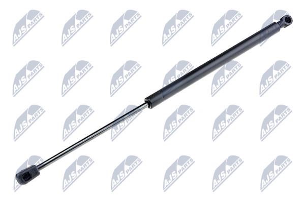 NTY AE-RE-017 Gas Spring, boot-/cargo area AERE017: Buy near me in Poland at 2407.PL - Good price!