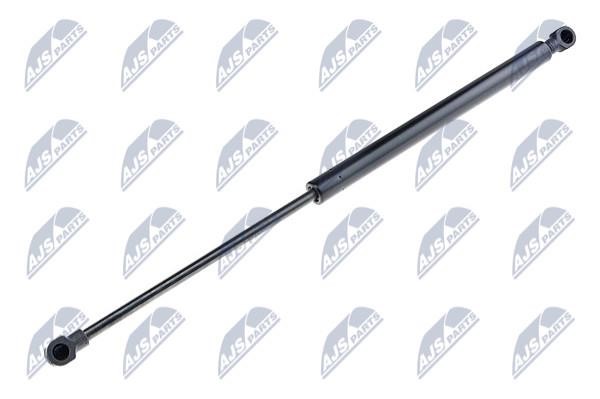 NTY AE-RE-020 Gas Spring, boot-/cargo area AERE020: Buy near me in Poland at 2407.PL - Good price!
