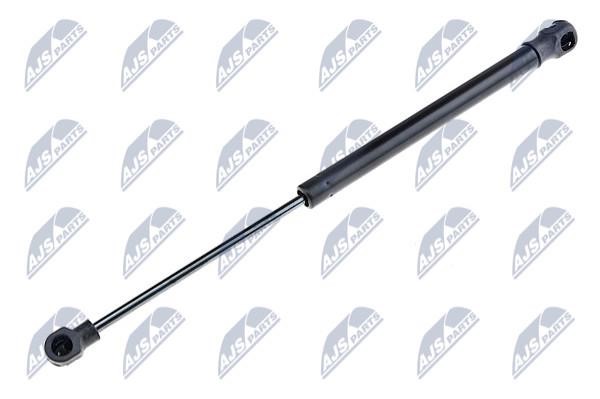 NTY AE-RE-023 Spring gas rear window AERE023: Buy near me in Poland at 2407.PL - Good price!