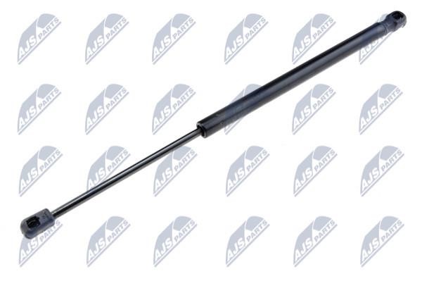 NTY AE-RE-024 Gas Spring, boot-/cargo area AERE024: Buy near me in Poland at 2407.PL - Good price!