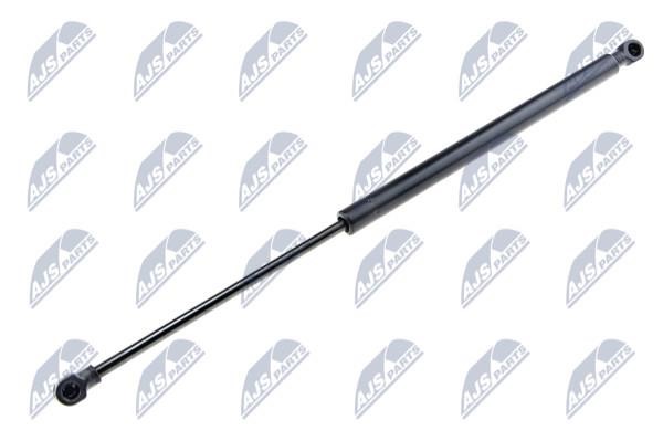 NTY AE-RE-029 Gas Spring, boot-/cargo area AERE029: Buy near me in Poland at 2407.PL - Good price!