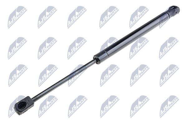 NTY AE-RE-030 Gas Spring, boot-/cargo area AERE030: Buy near me in Poland at 2407.PL - Good price!