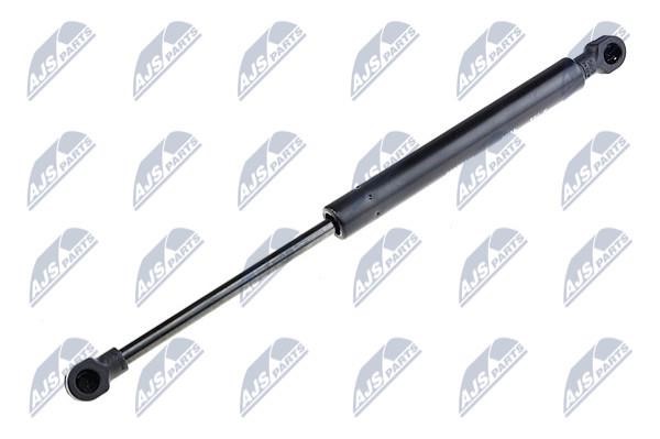 NTY AE-RE-051 Gas Spring, boot-/cargo area AERE051: Buy near me in Poland at 2407.PL - Good price!