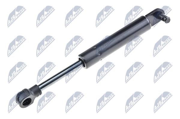 NTY AE-RE-052 Gas Spring, boot-/cargo area AERE052: Buy near me in Poland at 2407.PL - Good price!