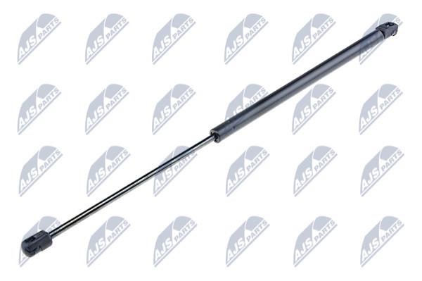 NTY AE-RE-053 Gas Spring, boot-/cargo area AERE053: Buy near me in Poland at 2407.PL - Good price!