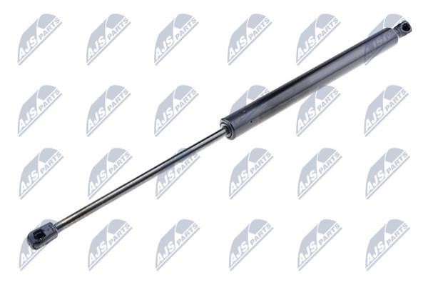 NTY AE-RE-057 Gas Spring, boot-/cargo area AERE057: Buy near me in Poland at 2407.PL - Good price!