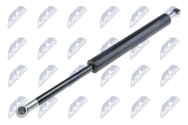 NTY AE-SA-001 Gas Spring, boot-/cargo area AESA001: Buy near me in Poland at 2407.PL - Good price!