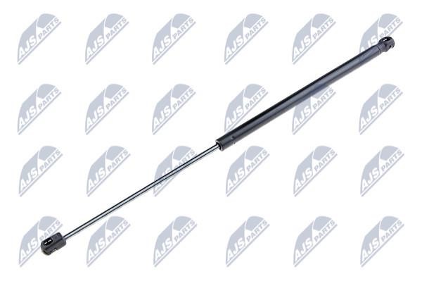 NTY AE-SE-020 Gas hood spring AESE020: Buy near me in Poland at 2407.PL - Good price!