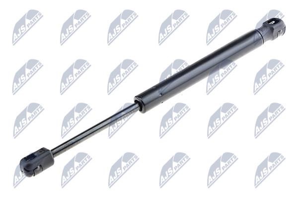 NTY AE-SK-016 Gas Spring, boot-/cargo area AESK016: Buy near me at 2407.PL in Poland at an Affordable price!