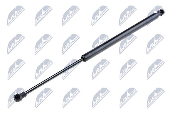 NTY AE-TY-005 Gas Spring, boot-/cargo area AETY005: Buy near me in Poland at 2407.PL - Good price!