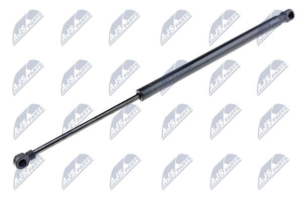 NTY AE-TY-009 Gas Spring, boot-/cargo area AETY009: Buy near me in Poland at 2407.PL - Good price!