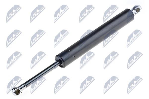 NTY AE-VV-007 Gas Spring, boot-/cargo area AEVV007: Buy near me in Poland at 2407.PL - Good price!