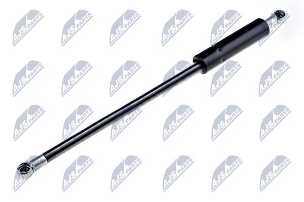 NTY AE-VV-023 Gas Spring, boot-/cargo area AEVV023: Buy near me in Poland at 2407.PL - Good price!