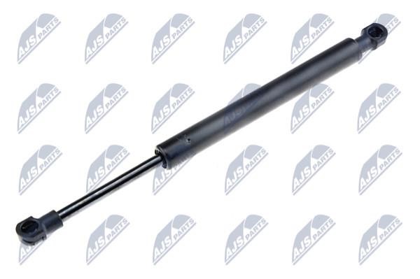 NTY AE-VV-025 Gas Spring, boot-/cargo area AEVV025: Buy near me in Poland at 2407.PL - Good price!
