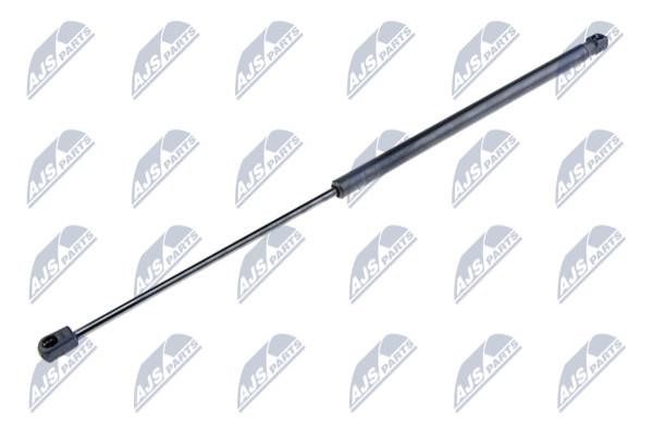 NTY AE-VW-004 Gas Spring, boot-/cargo area AEVW004: Buy near me in Poland at 2407.PL - Good price!