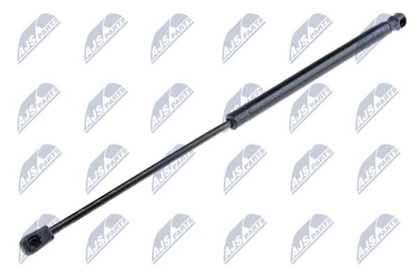 NTY AE-VW-007 Gas Spring, boot-/cargo area AEVW007: Buy near me in Poland at 2407.PL - Good price!
